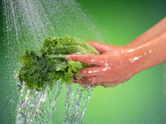 Tốt nhất là rửa trực tiếp từng lá dưới vòi nước chảy là biện pháp hiệu quả nhất để loại bỏ trứng giun, vi khuẩn gây bệnh và dư lượng thuốc trừ sâu vẫn còn bám trên rau. Chỉ nên chọn các loại rau xanh tại các của hàng rau sạch, rau có kiểm nghiệm của các cơ quan chức năng.